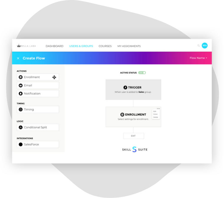 SkillSuite Flows Feature